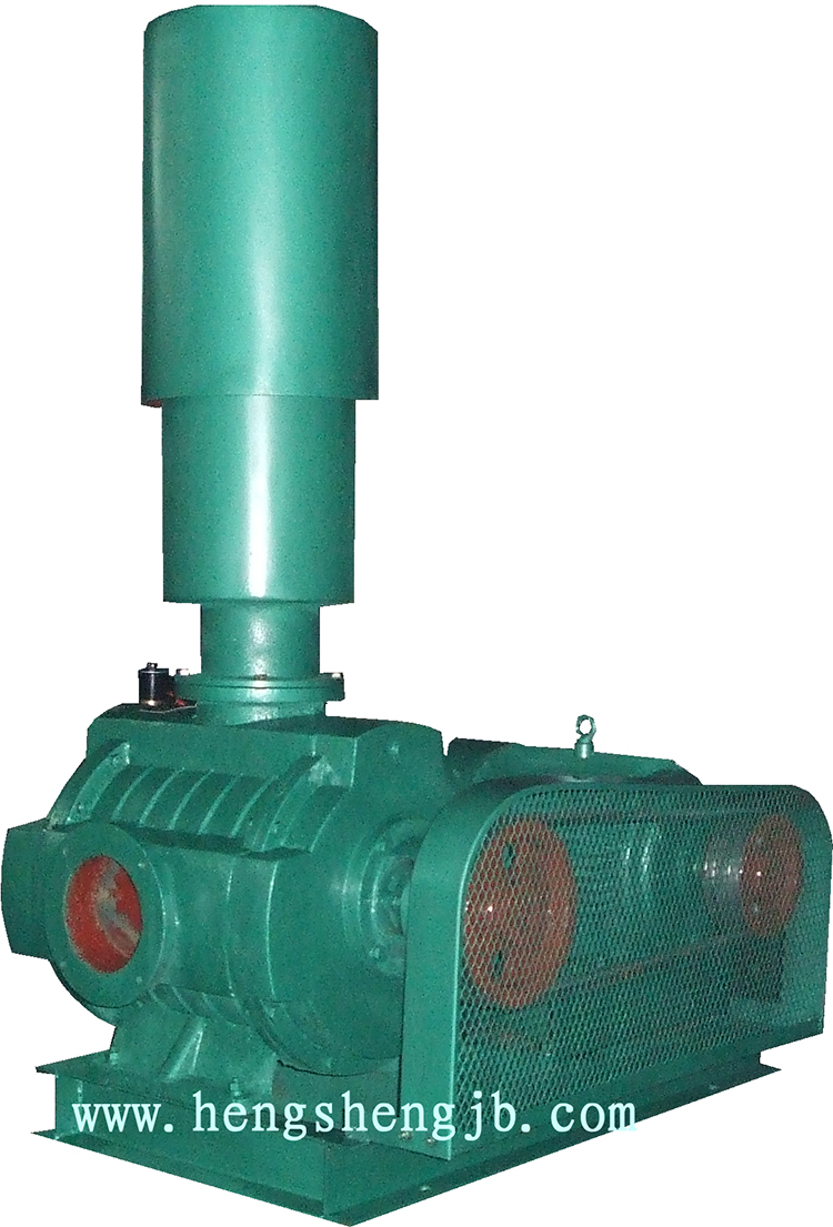 YH-100S水環(huán)式風(fēng)機(jī)